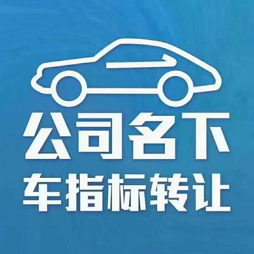 在北京摇到号了但是最近买不了车想问一下有没有什么办法把指标保留...